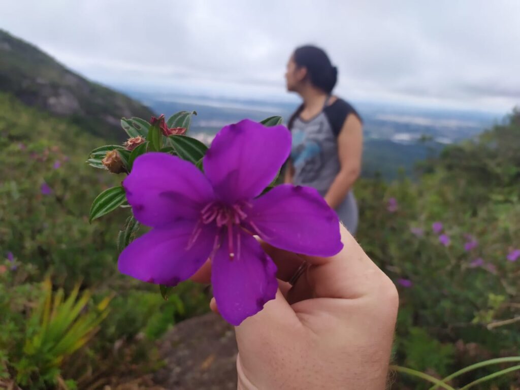 Cume do Morro do Anhangava