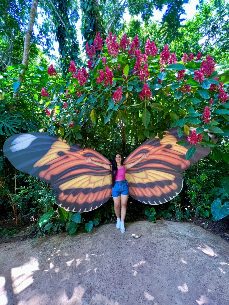 Parque das aves em roteiro para Foz do Iguaçu