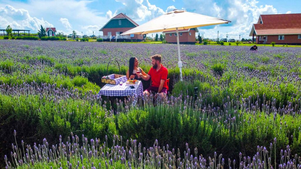 Lavandario Het Dorp Carambeí 