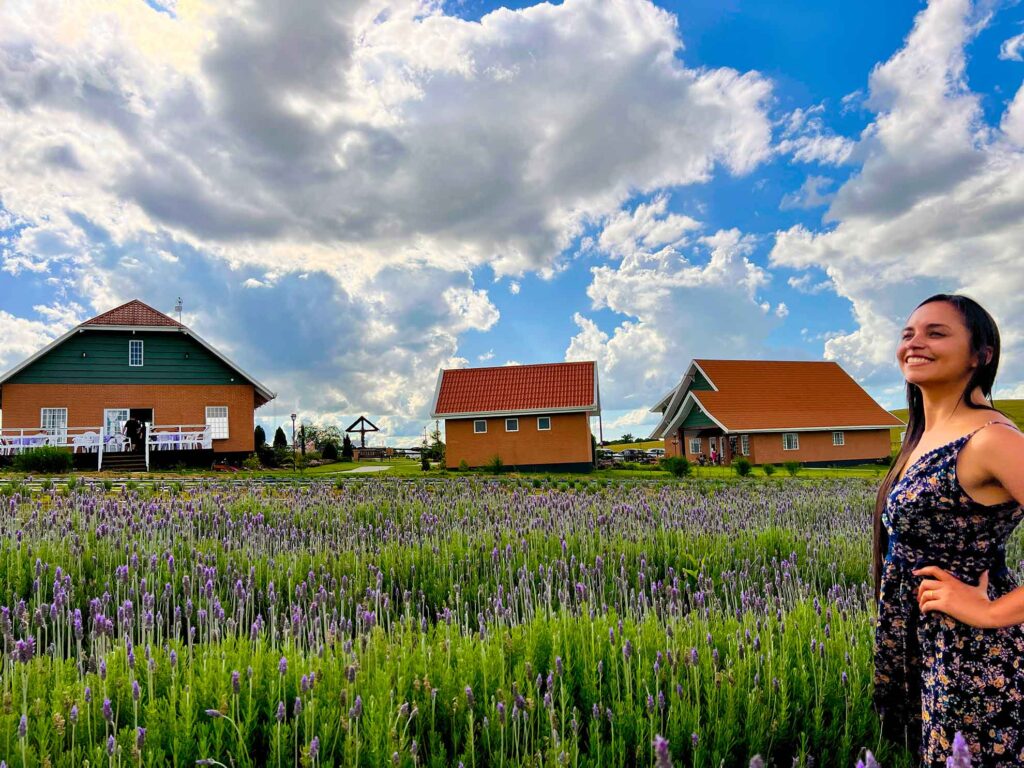 Lavandario Het Dorp em Carambeí 