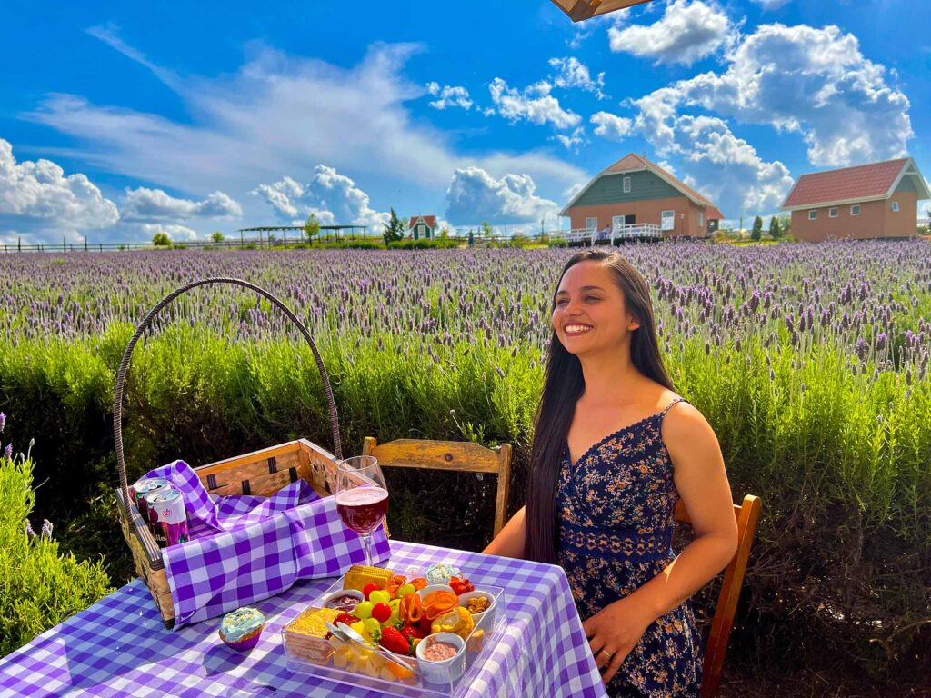 Piquenique em Carambeí  