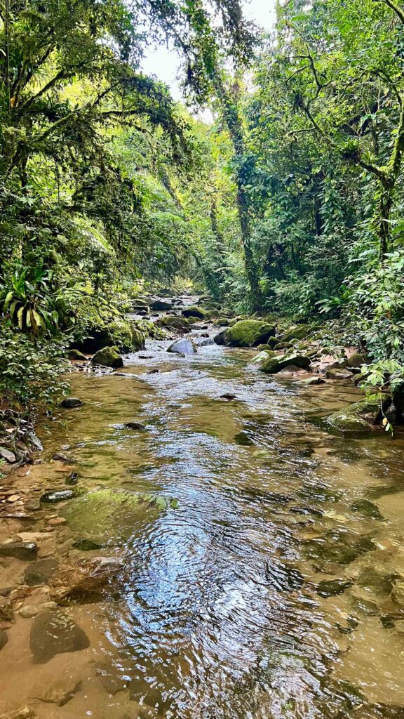 Trilha para a Cachoeira Salto Tombo D'água