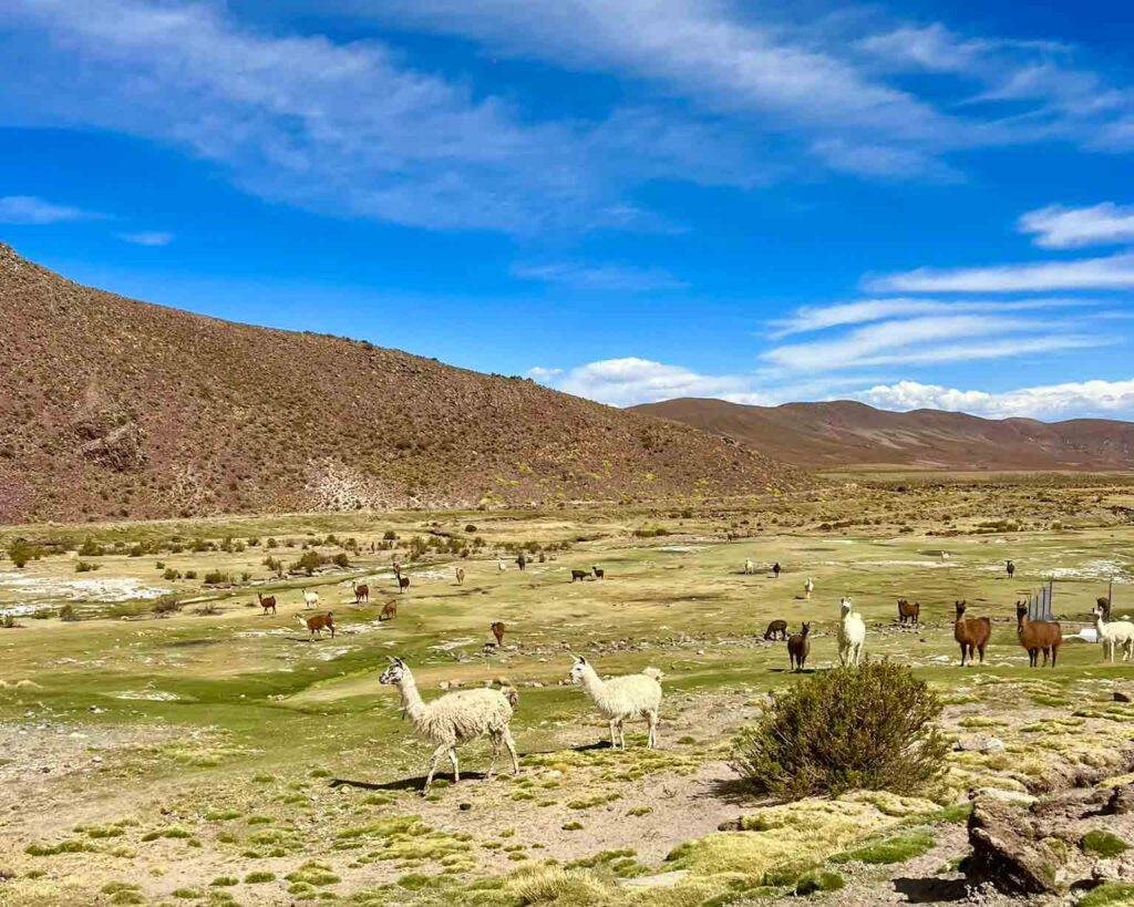 Paisagem do interior da Bolívia 